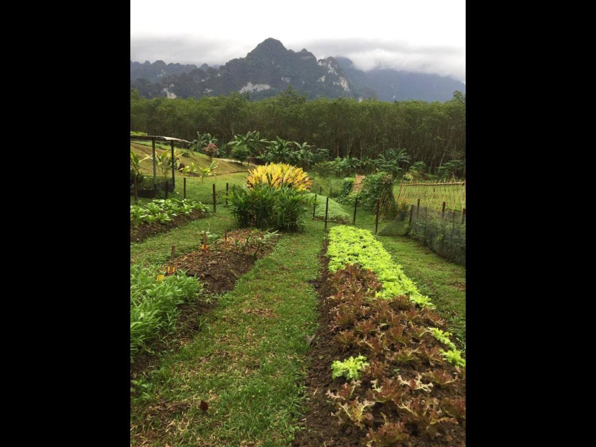 Billion Views Khaosok Homestay Khao Sok National Park Εξωτερικό φωτογραφία