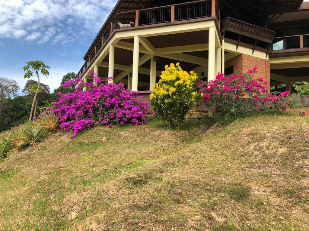 Billion Views Khaosok Homestay Khao Sok National Park Εξωτερικό φωτογραφία