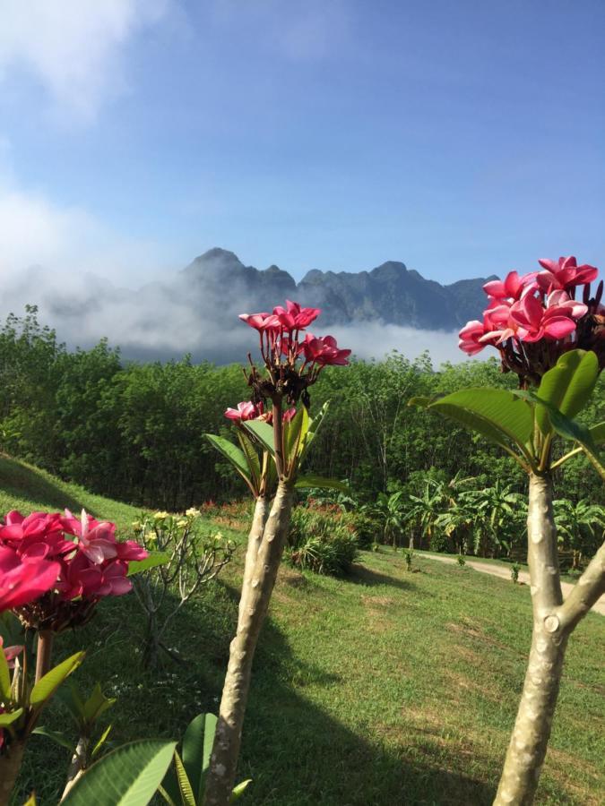Billion Views Khaosok Homestay Khao Sok National Park Εξωτερικό φωτογραφία