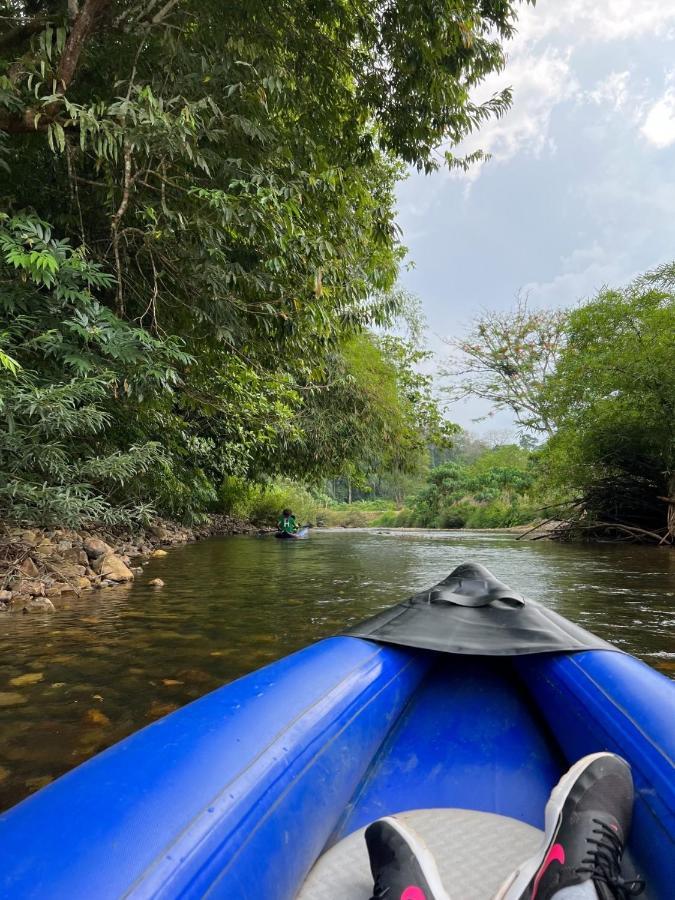 Billion Views Khaosok Homestay Khao Sok National Park Εξωτερικό φωτογραφία